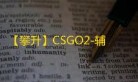 【攀升】CSGO2-辅助