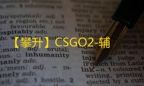 【攀升】CSGO2-辅助