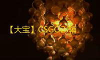 【大宝】CSGO2-辅助