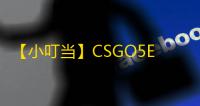 【小叮当】CSGO5E-辅助