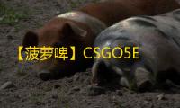 【菠萝啤】CSGO5E-辅助