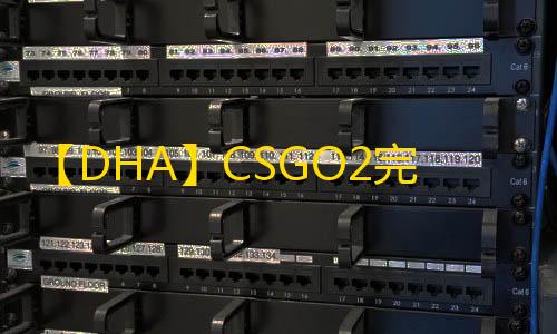 【DHA】CSGO2完美-辅助