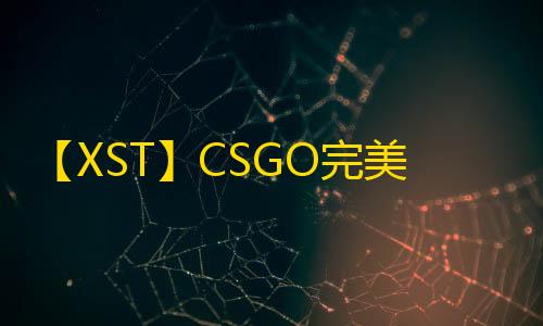 【XST】CSGO完美-辅助