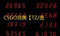 CSGO完美【TZ/透饰/梓喵】辅助
