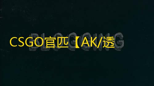 CSGO官匹【AK/透饰/梓喵/仅支持官匹平台】辅助