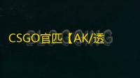 CSGO官匹【AK/透饰/梓喵/仅支持官匹平台】辅助