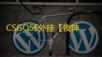 CSGO5E外挂【夜神/扳机全功能/仅支持5E】辅助