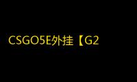 CSGO5E外挂【G2/透饰/梓喵/仅支持5E】辅助