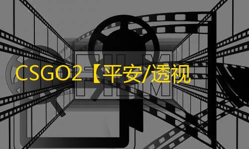 CSGO2【平安/透视/梓喵/支持官匹】辅助